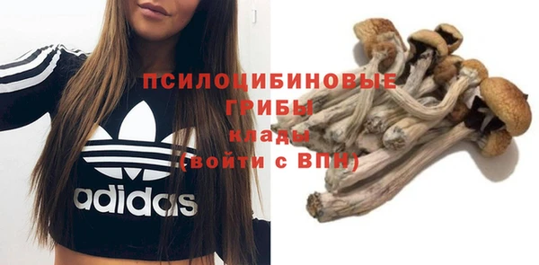 трава Бронницы