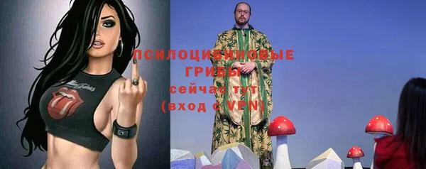 скорость Бородино